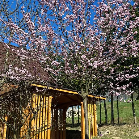 W Rozach Farmház