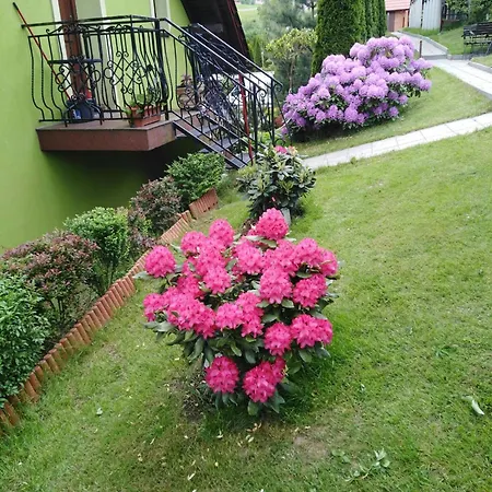 W Rozach